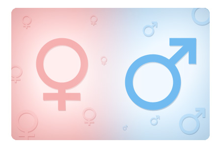 Gênero masculino ou feminino? | Bloguito - O blog do Varejão do Estudante
