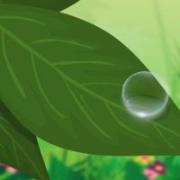 Qual a diferença entre orvalho e geada?