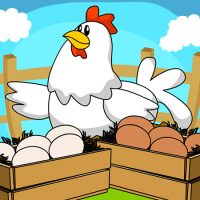 A cor dos ovos da galinha