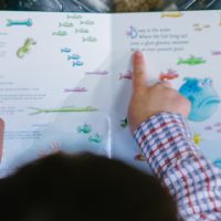 A importância dos livros paradidáticos