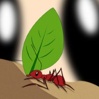 Artrópodes, que bicho é esse?